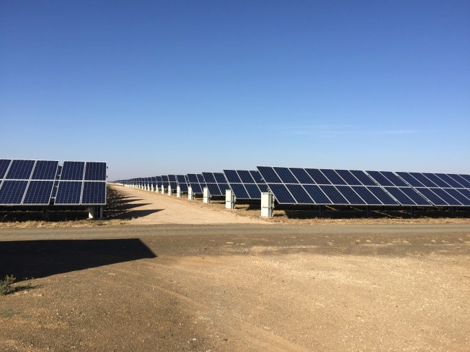 solar-farming