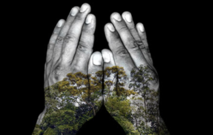 Shortened Environment Impact Assessment Time Frame For Solar and Wind Projects in South Africa