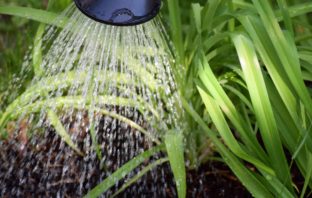 Organic Farming