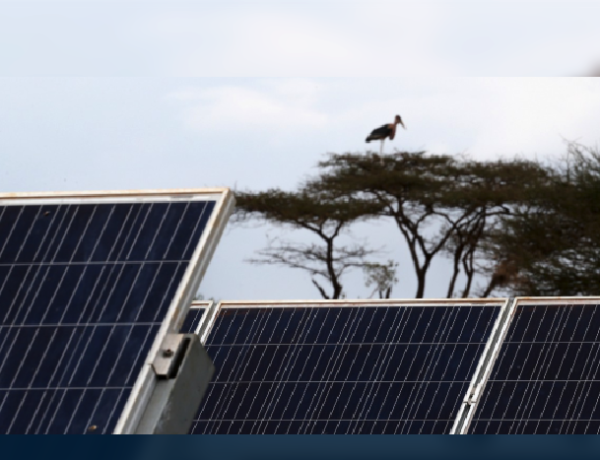 Africa takes the lead to champion an innovative approach for its energy transition